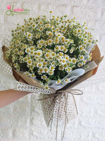 Tana daisies bouquet - Tomorrow
