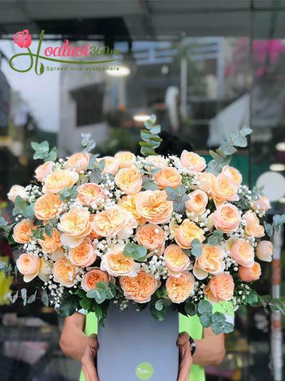 Orange rose box - Charming beauty