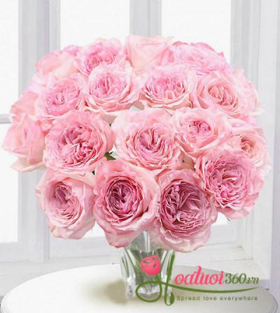Bó hoa hồng O’hara dễ thương đẹp lộng lẫy tặng người yêu