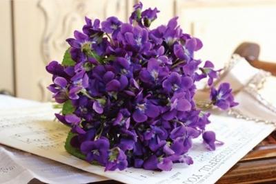 Đi tìm nghĩa của loài hoa violet