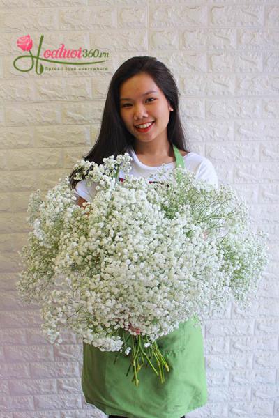 Giá hoa baby trắng rẻ nhất ở TP. Hồ Chí Minh