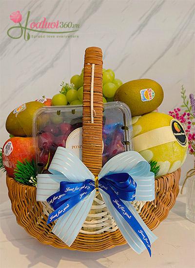 Fruits baskets - Understanding