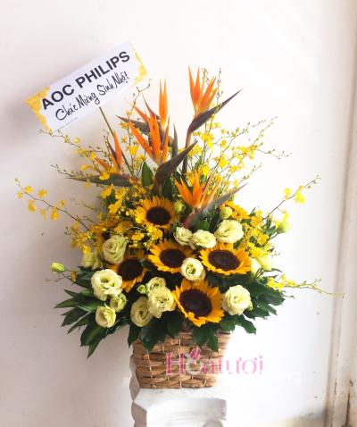 The flower basket of 