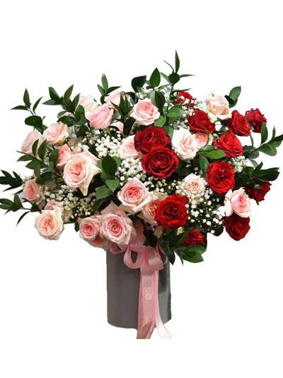 Congratulation flowers - Beautiful gift