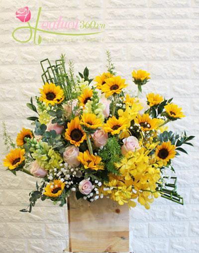 Congratulation flowers - Sunny day 2