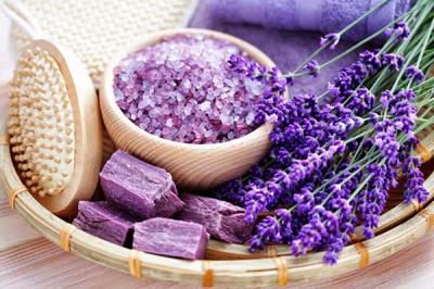 Hoa lavender- ý nghĩa, công dụng và cách trồng hoa đơn giản