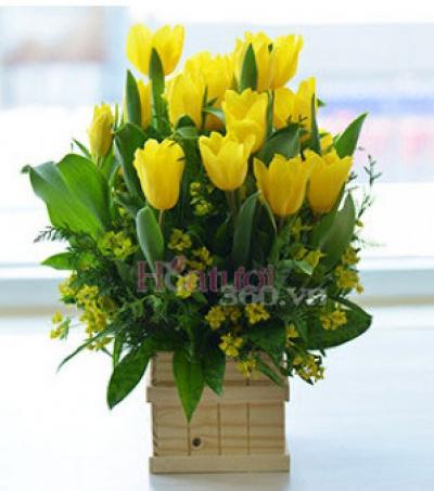 Tulip flowers box - Lucky