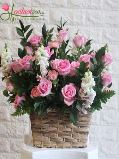 Congratulation flowers - Pink girl 1