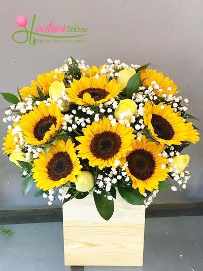Sunflower with yellow roses