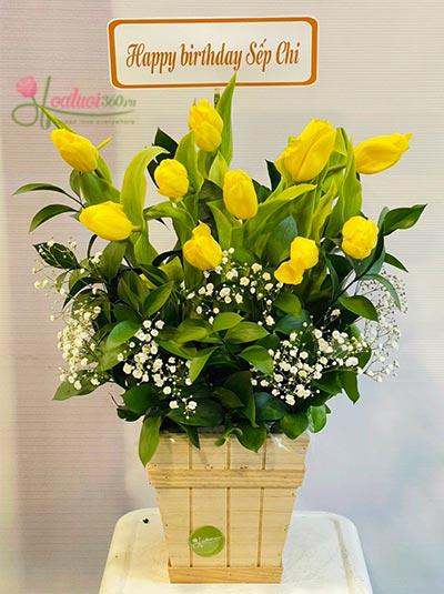 Tulip flowers box - Happiness