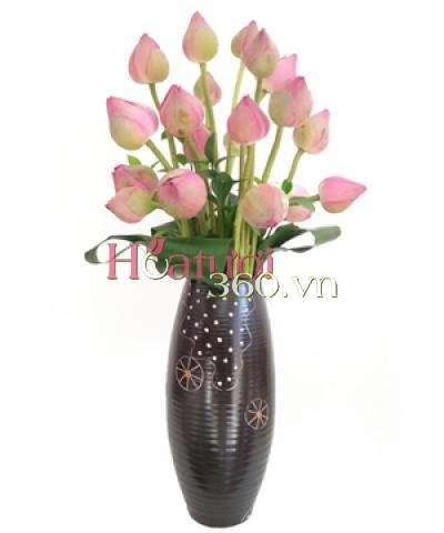 Pink Lotus - 360 Fresh Flowers