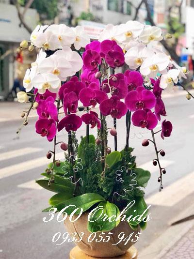 Shop hoa tươi đường Nguyễn Trãi TPHCM, giao hoa chất lượng