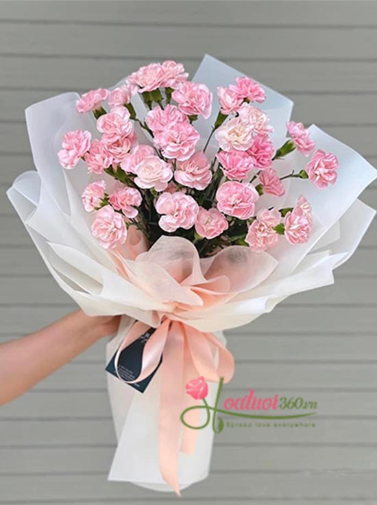 Bó hoa cẩm chướng hồng - Sự ái mộ