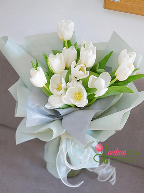 Tulip flowers bouquet - Gentle