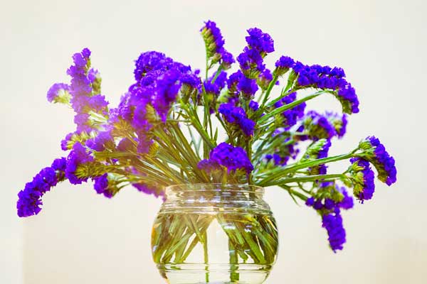 Beautiful and simple salem flower vase