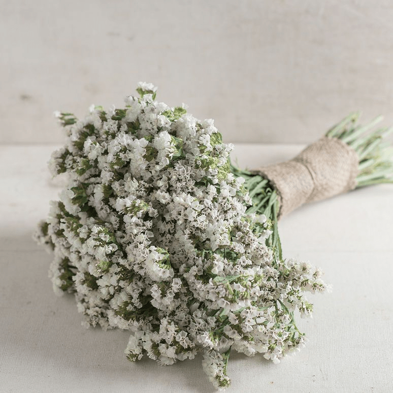 White salem wedding bouquet