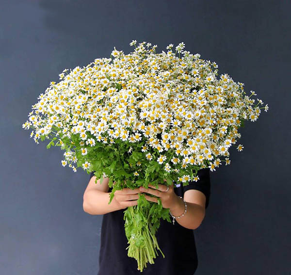 How do you feel when you receive this lovely bouquet of Tana daisy?