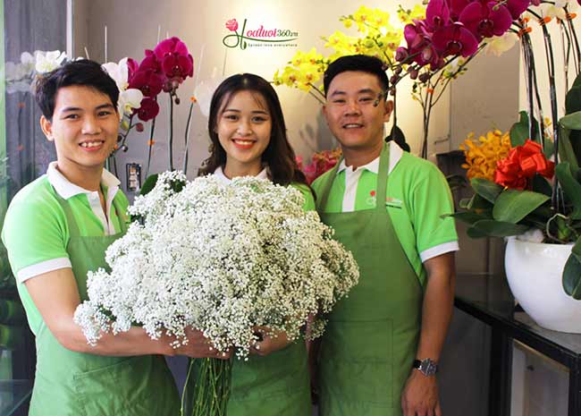 Hoatuoi360.vn provides many beautiful and cheap baby flower models