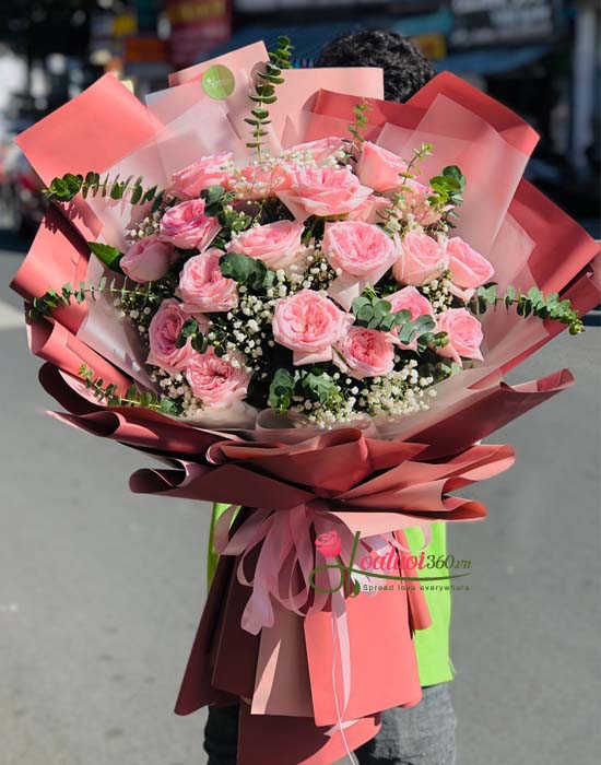 Beautiful Ohara pink roses