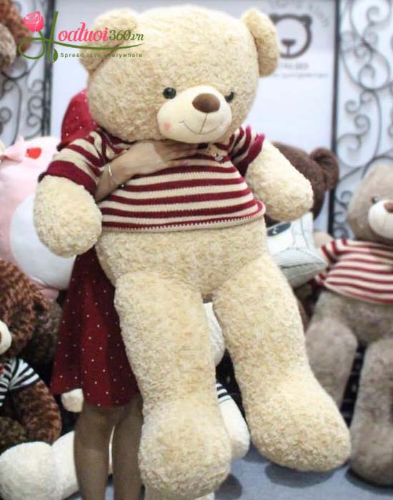 Teddy bear - Lovely