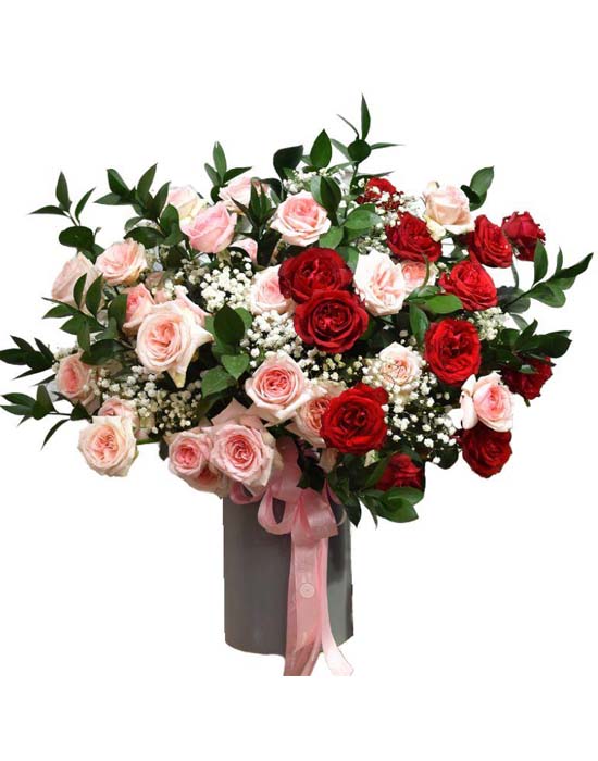 Congratulation flowers - Beautiful gift 