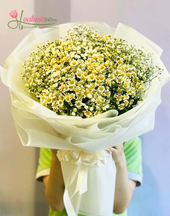 Bouquet of Tana daisies mix baby flower - Brilliant