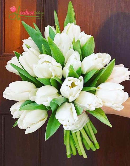 Tulip flowers bouquet - Marry me