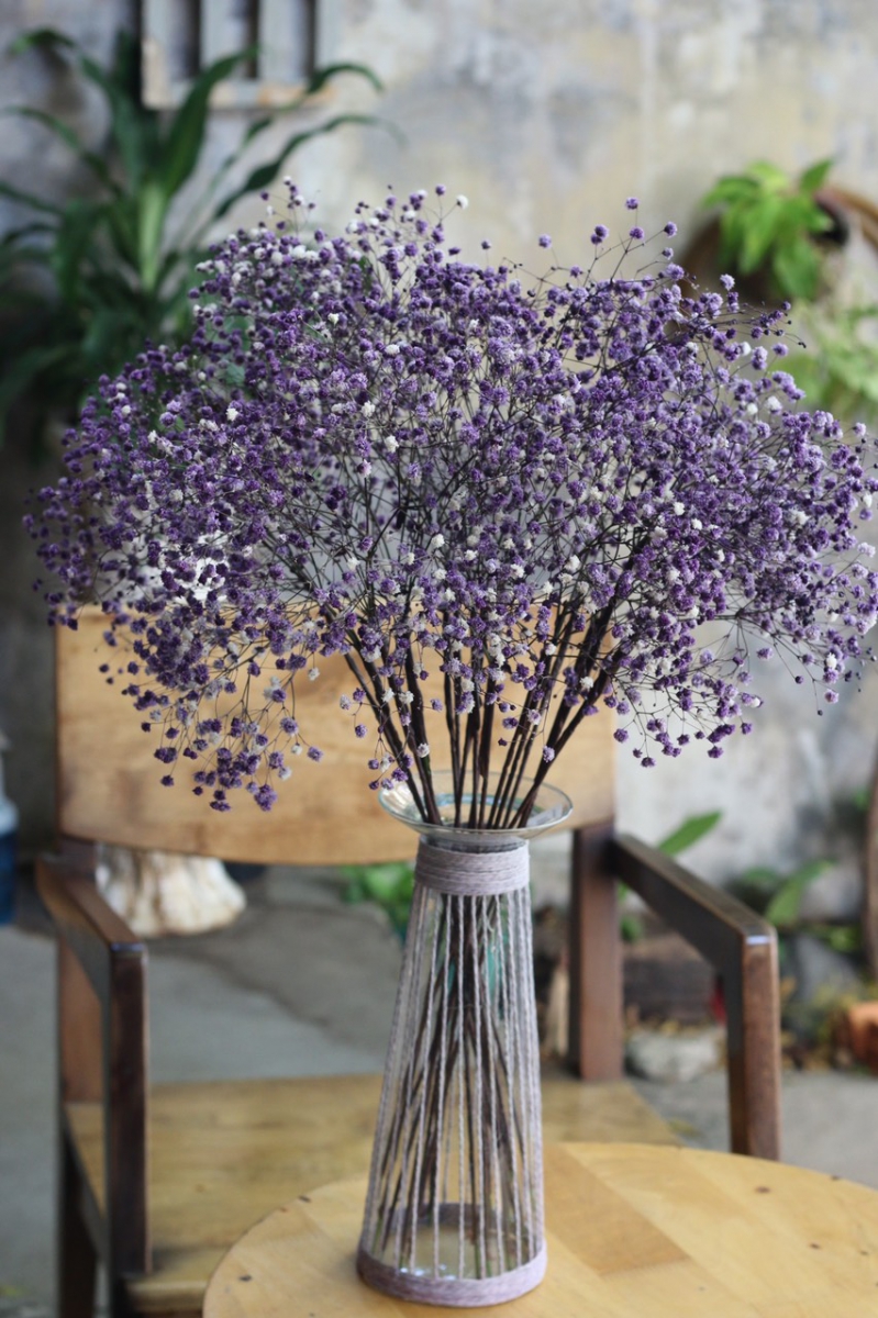 The vase of dried purple baby flowers on the table is lively and impressive