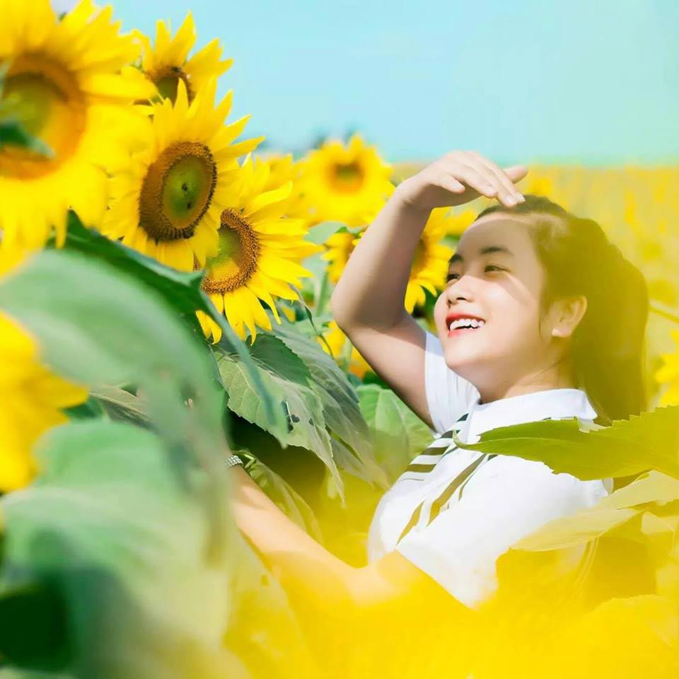 The color of sunflowers brings more faith in life